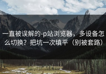一直被误解的-p站浏览器，多设备怎么切换？把坑一次填平（别被套路）