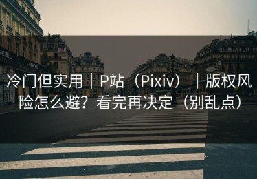 冷门但实用｜P站（Pixiv）｜版权风险怎么避？看完再决定（别乱点）
