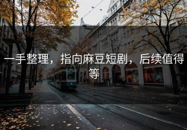 一手整理，指向麻豆短剧，后续值得等