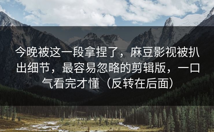 今晚被这一段拿捏了，麻豆影视被扒出细节，最容易忽略的剪辑版，一口气看完才懂（反转在后面）