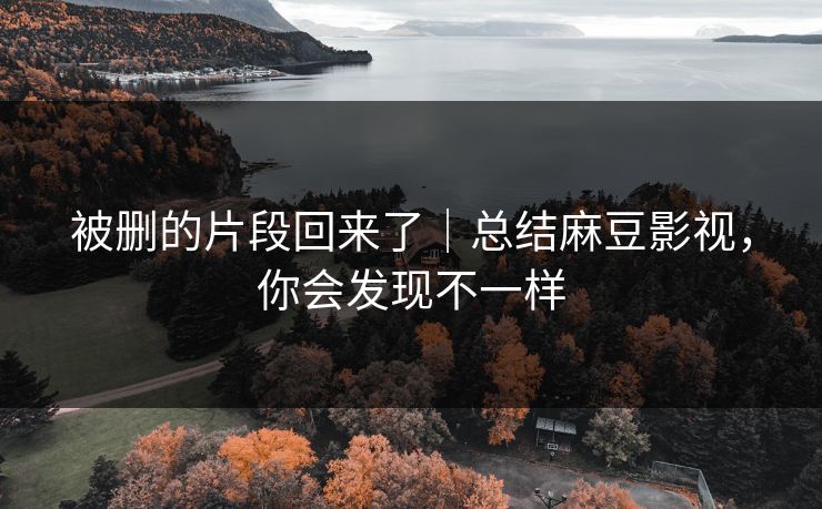 被删的片段回来了|总结麻豆影视,你会发现不一样 被删的片段回来了|总结麻豆影视,你会发现不一样