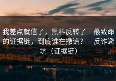 我差点就信了，黑料反转了｜最致命的证据链，到底谁在撒谎？｜反诈避坑（证据链）