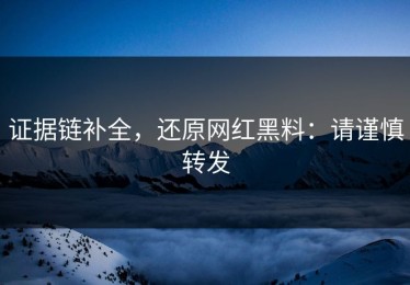 证据链补全，还原网红黑料：请谨慎转发