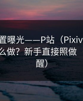 隐藏设置曝光——P站（Pixiv）-账号安全怎么做？新手直接照做（重要提醒）