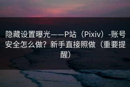 隐藏设置曝光——P站（Pixiv）-账号安全怎么做？新手直接照做（重要提醒）