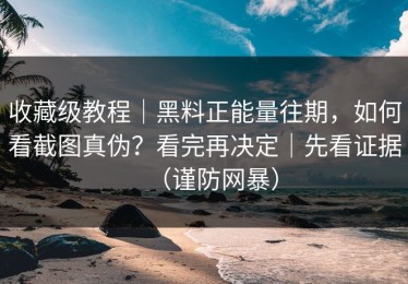 收藏级教程｜黑料正能量往期，如何看截图真伪？看完再决定｜先看证据（谨防网暴）