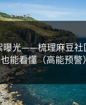 幕后花絮曝光——梳理麻豆社区，新人也能看懂（高能预警）