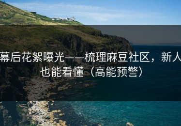 幕后花絮曝光——梳理麻豆社区，新人也能看懂（高能预警）