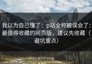 我以为自己懂了：p站全称被误会了：最值得收藏的网页版，建议先收藏（避坑重点）