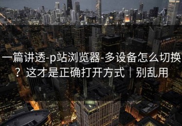 一篇讲透-p站浏览器-多设备怎么切换？这才是正确打开方式｜别乱用