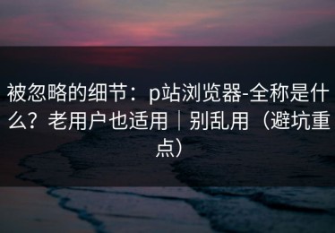 被忽略的细节：p站浏览器-全称是什么？老用户也适用｜别乱用（避坑重点）