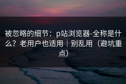 被忽略的细节：p站浏览器-全称是什么？老用户也适用｜别乱用（避坑重点）