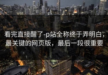 看完直接醒了-p站全称终于弄明白，最关键的网页版，最后一段很重要