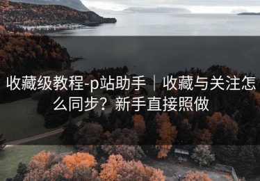 收藏级教程-p站助手｜收藏与关注怎么同步？新手直接照做