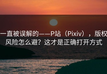 一直被误解的——P站（Pixiv），版权风险怎么避？这才是正确打开方式