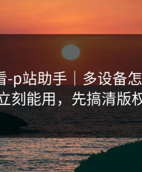 新手必看-p站助手｜多设备怎么切换？立刻能用，先搞清版权