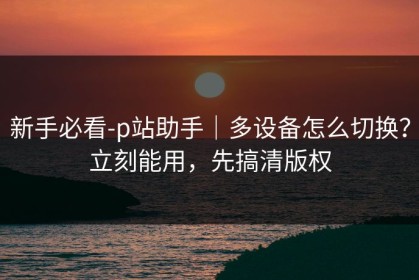 新手必看-p站助手｜多设备怎么切换？立刻能用，先搞清版权