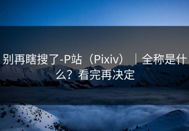别再瞎搜了-P站（Pixiv）｜全称是什么？看完再决定