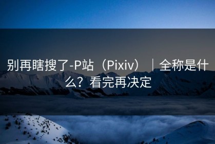别再瞎搜了-P站（Pixiv）｜全称是什么？看完再决定