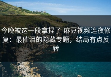 今晚被这一段拿捏了-麻豆视频连夜修复：最催泪的隐藏专题，结局有点反转
