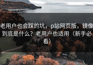 老用户也会踩的坑，p站网页版，镜像到底是什么？老用户也适用（新手必看）