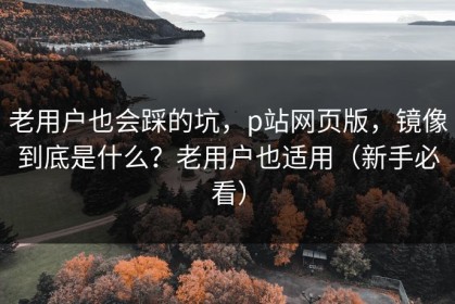 老用户也会踩的坑，p站网页版，镜像到底是什么？老用户也适用（新手必看）