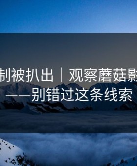 热榜机制被扒出｜观察蘑菇影视片单——别错过这条线索