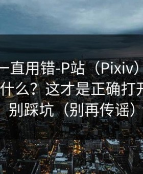 你可能一直用错-P站（Pixiv），镜像到底是什么？这才是正确打开方式｜别踩坑（别再传谣）