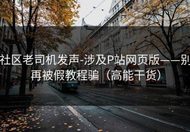 社区老司机发声-涉及P站网页版——别再被假教程骗（高能干货）