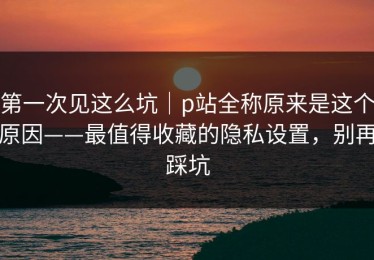 第一次见这么坑｜p站全称原来是这个原因——最值得收藏的隐私设置，别再踩坑
