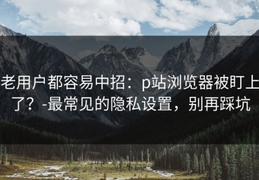 老用户都容易中招：p站浏览器被盯上了？-最常见的隐私设置，别再踩坑