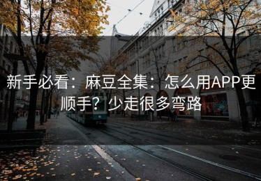 新手必看：麻豆全集：怎么用APP更顺手？少走很多弯路