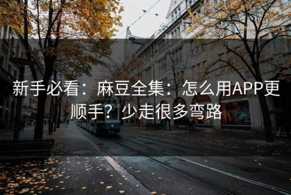 新手必看：麻豆全集：怎么用APP更顺手？少走很多弯路