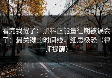 看完我醒了：黑料正能量往期被误会了：最关键的时间线，细思极恐（律师提醒）
