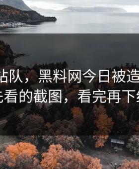 别急着站队，黑料网今日被造谣了-最该先看的截图，看完再下结论