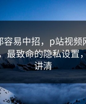 老用户都容易中招，p站视频网页版被误会了，最致命的隐私设置，一口气讲清
