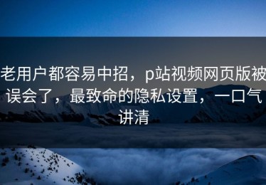 老用户都容易中招，p站视频网页版被误会了，最致命的隐私设置，一口气讲清