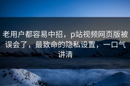 老用户都容易中招，p站视频网页版被误会了，最致命的隐私设置，一口气讲清