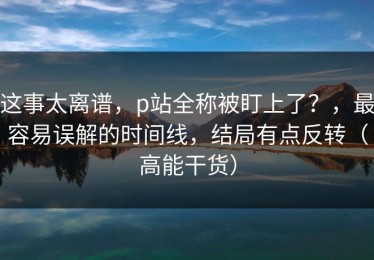 这事太离谱，p站全称被盯上了？，最容易误解的时间线，结局有点反转（高能干货）