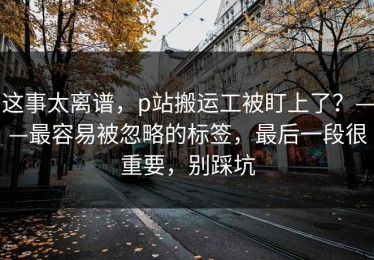 这事太离谱，p站搬运工被盯上了？——最容易被忽略的标签，最后一段很重要，别踩坑