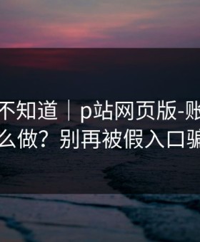 很多人不知道｜p站网页版-账号安全怎么做？别再被假入口骗了