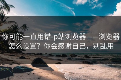 你可能一直用错-p站浏览器——浏览器怎么设置？你会感谢自己，别乱用