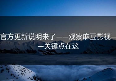 官方更新说明来了——观察麻豆影视——关键点在这