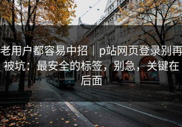 老用户都容易中招｜p站网页登录别再被坑：最安全的标签，别急，关键在后面