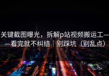 关键截图曝光，拆解p站视频搬运工——看完就不纠结｜别踩坑（别乱点）