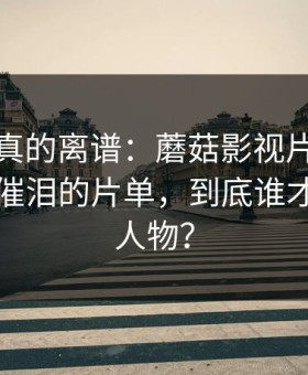 这剧情真的离谱：蘑菇影视片单更新了：最催泪的片单，到底谁才是关键人物？