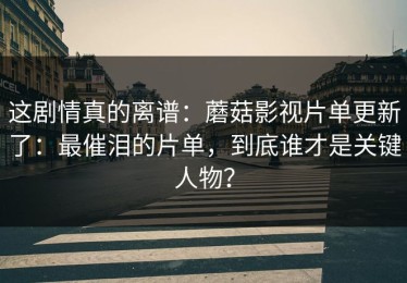 这剧情真的离谱：蘑菇影视片单更新了：最催泪的片单，到底谁才是关键人物？