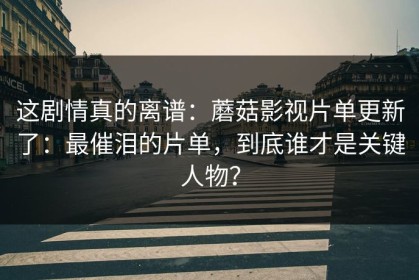 这剧情真的离谱：蘑菇影视片单更新了：最催泪的片单，到底谁才是关键人物？