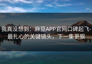 我真没想到：麻豆APP官网口碑起飞-最扎心的关键镜头，下一集更狠