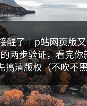 看完直接醒了｜p站网页版又更新了，最离谱的两步验证，看完你就懂了，先搞清版权（不吹不黑）